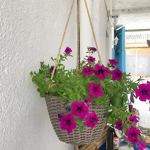 Le Janas Bed & Breakfast Càbras